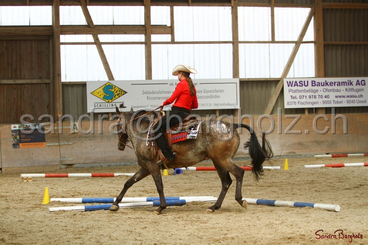 28-ApHC OT_065.jpg